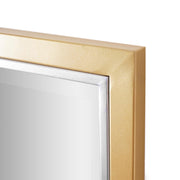 Brushed Brass/Chrome Metal Framed Beveled Edge Wall Mirror